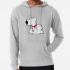 ssrcolightweight hoodiemensheather greyfrontsquare productx1000 bgf8f8f8 26 - Family Guy Merch